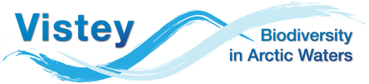 vistey logo final