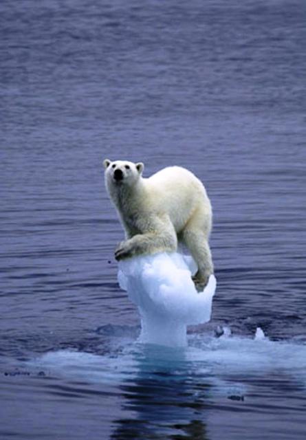 global warming
