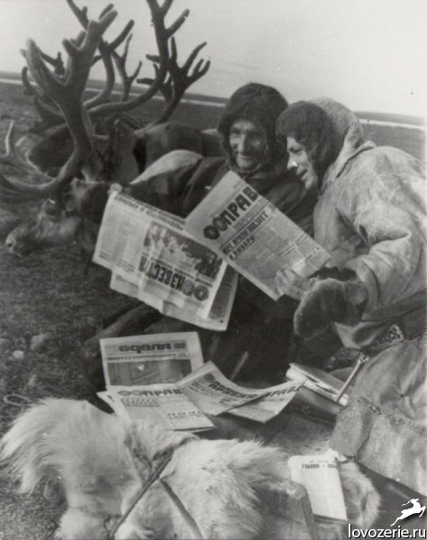 Reindeer herders sorting mail, Lovozero