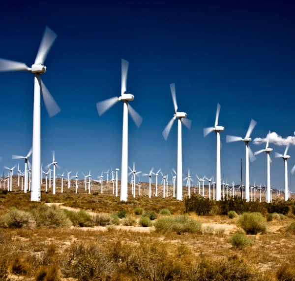 Quick Facts - Environment & Science