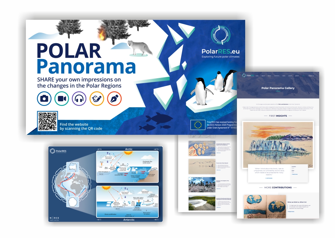 Polar panorama project