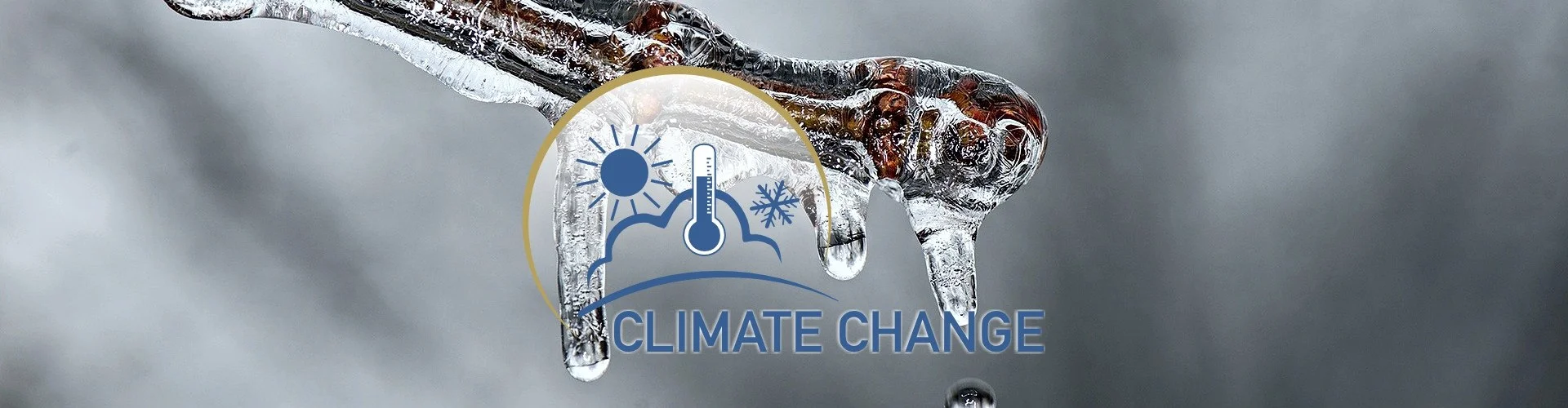 Climate Change Portlet
