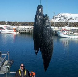 Photo by: Bergvin Snær Nesmann Andrésson