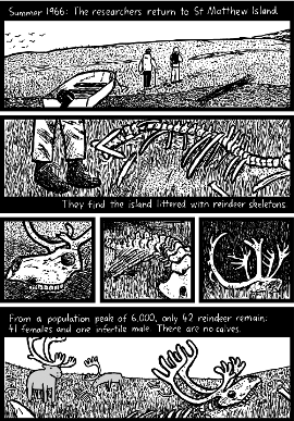 St. Matthew Island feature comic story