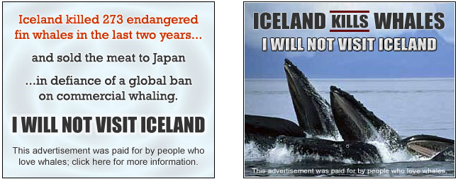 Whaling is wrong Statements