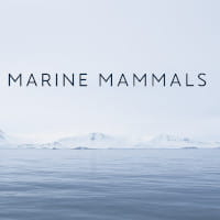Marine Mammals