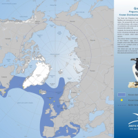 Great Auk Known Distribution and Breeding Places