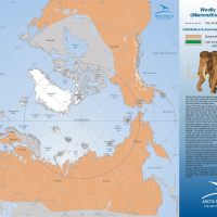 Woolly Mammoth Distribution and Movement during the last Ice Age